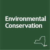  New York City Environmental Fund