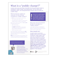 What is a Public Charge?